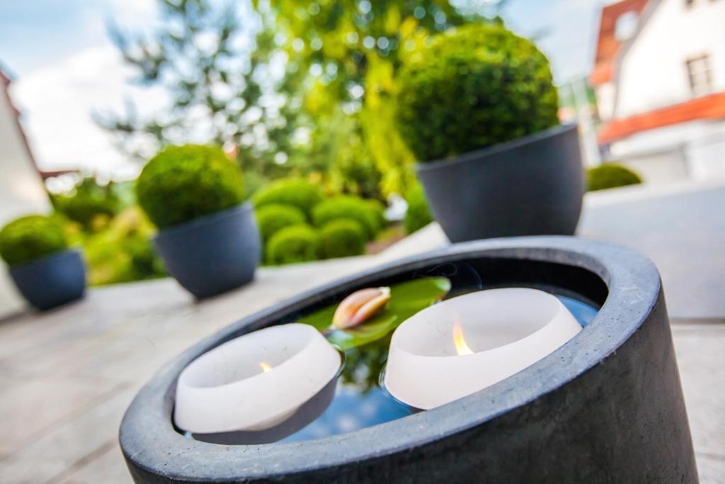 Boutique-Hotel Villa Anna Eisenach Bagian luar foto