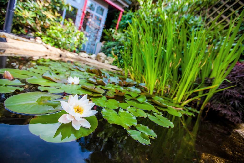 Boutique-Hotel Villa Anna Eisenach Bagian luar foto